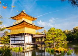 Tour Nhật Bản 2025: Hành trình Vàng Mùa Thu